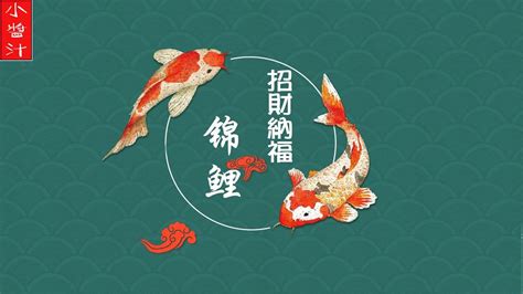 招財鯉魚|可招財旺運的風水魚——錦鯉